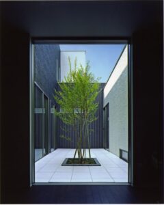 T-house4