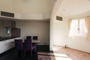 サンルームと吹抜のある家6