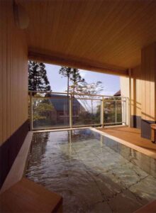 ZeZe-House8