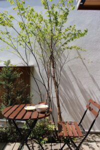 荏田町の家_9